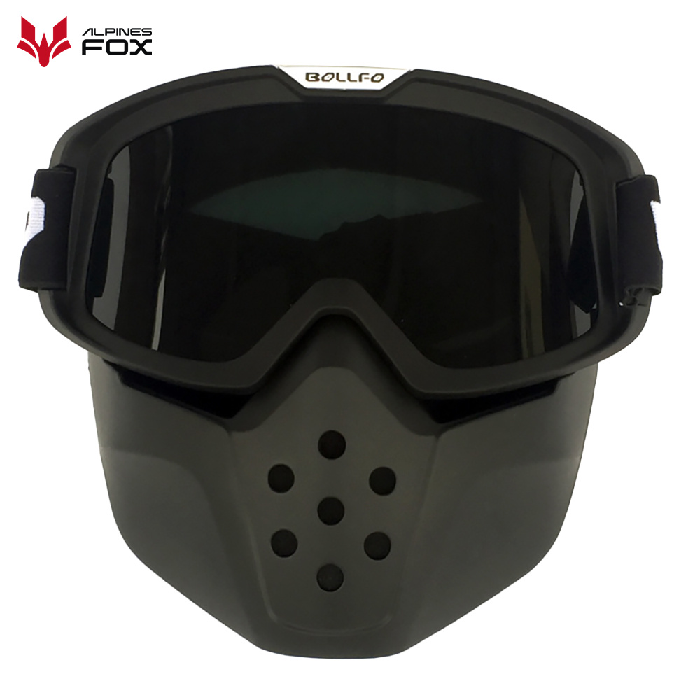 Lunettes de casque de moto vin - Motorcycle Gear Alpine avis et prix